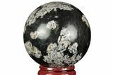 Polished Snowflake Stone Sphere - Pakistan #187518-1